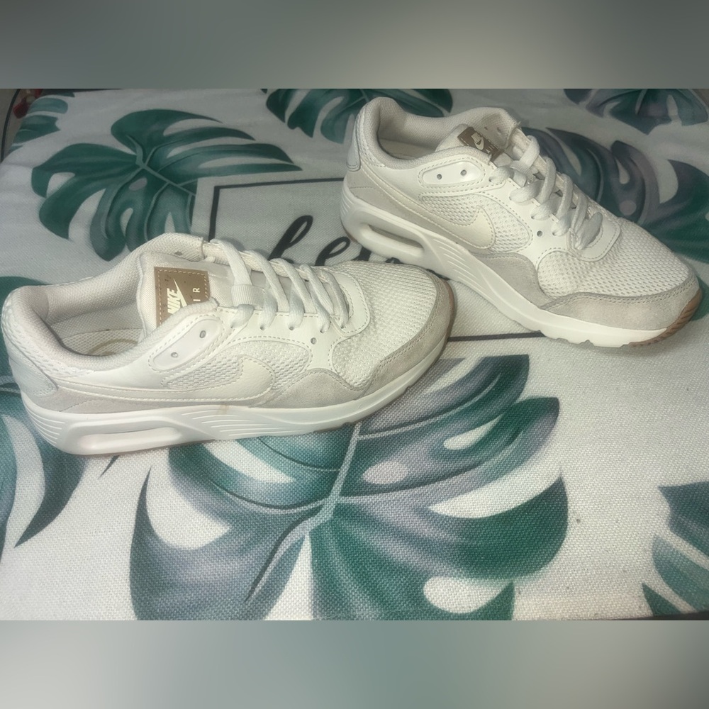 Nike Air Max SC Summit White/Platinum